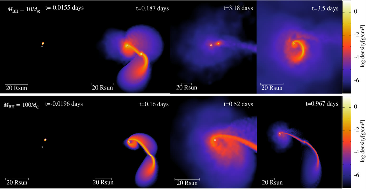 Sequence of a star being stretched into streams of gas during repeated close passes by a black hole