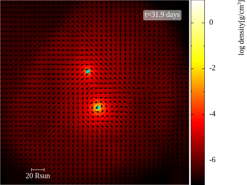 Gas from a disrupted star flowing around two black holes, each surrounded by its own bright disk